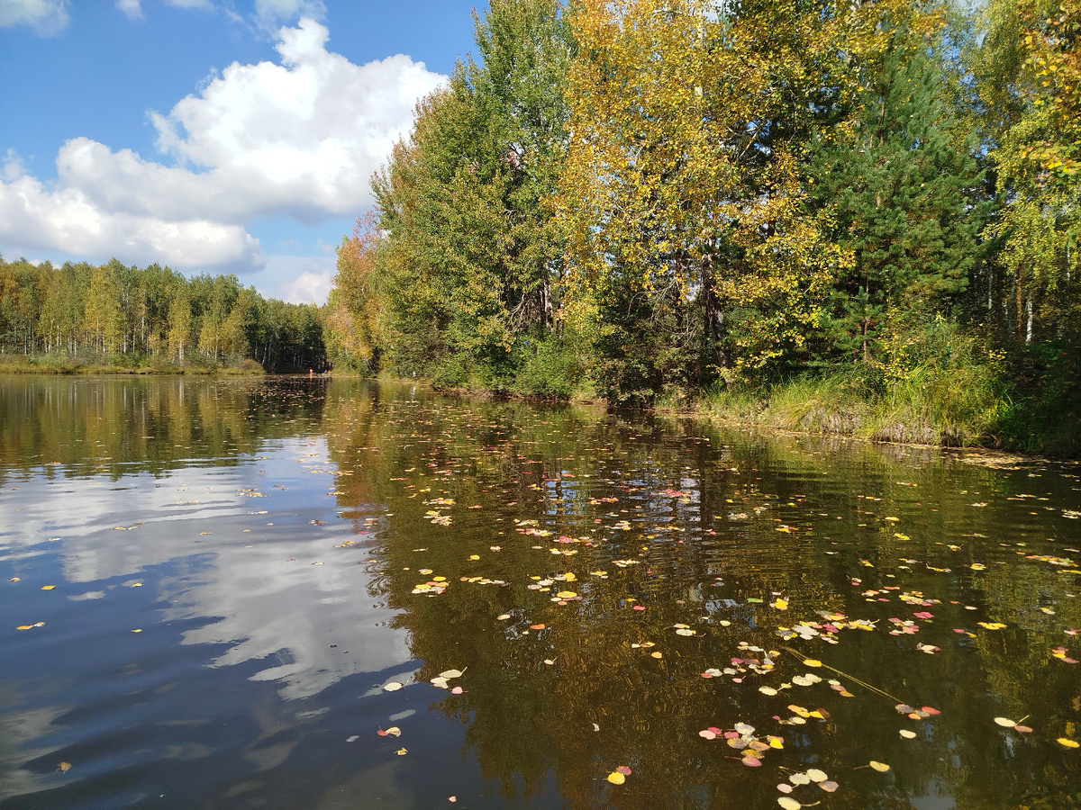 Листья уже золотые, красота!