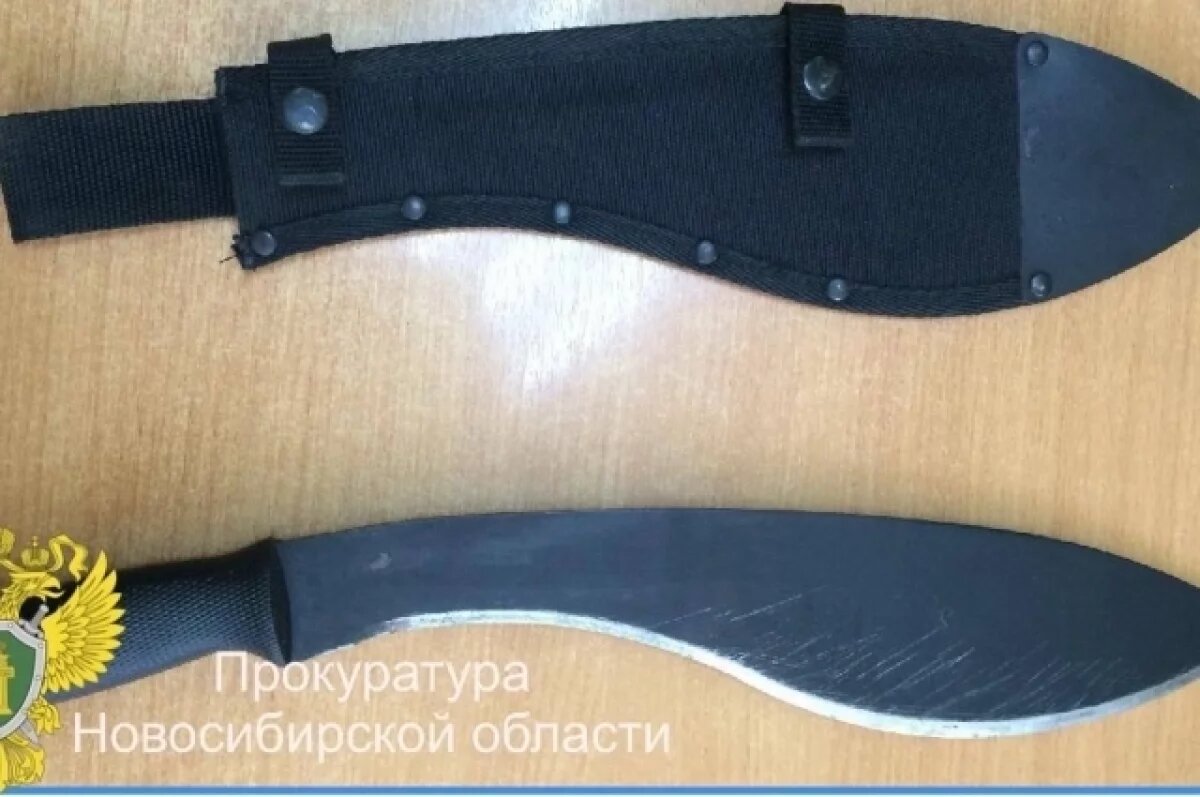    Пассажирку с ножом задержали новосибирские таможенники