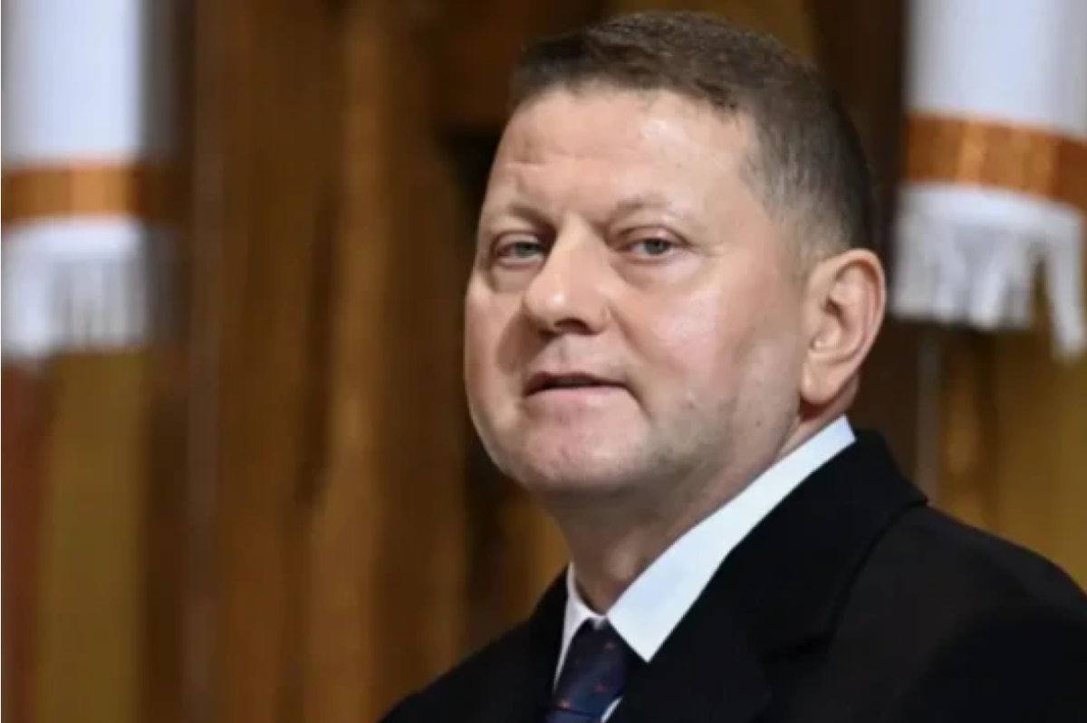    Залужный опечален предстоящим концертом Анны Нетребко в Лондоне