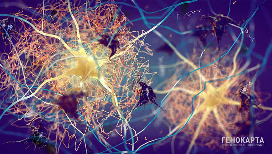 nobeastsofierce // shutterstock.com