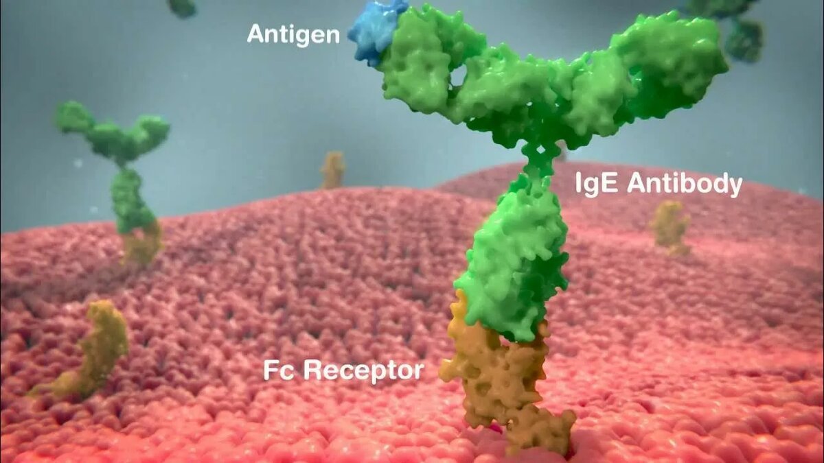 Вот так красиво на картинке А в жизни, см. фото на заставке