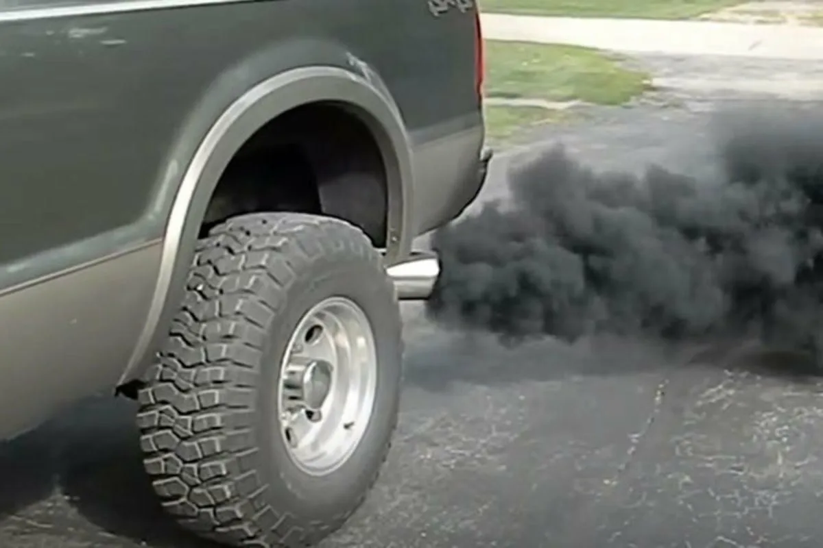 Источник: Яндекс - Картинки.