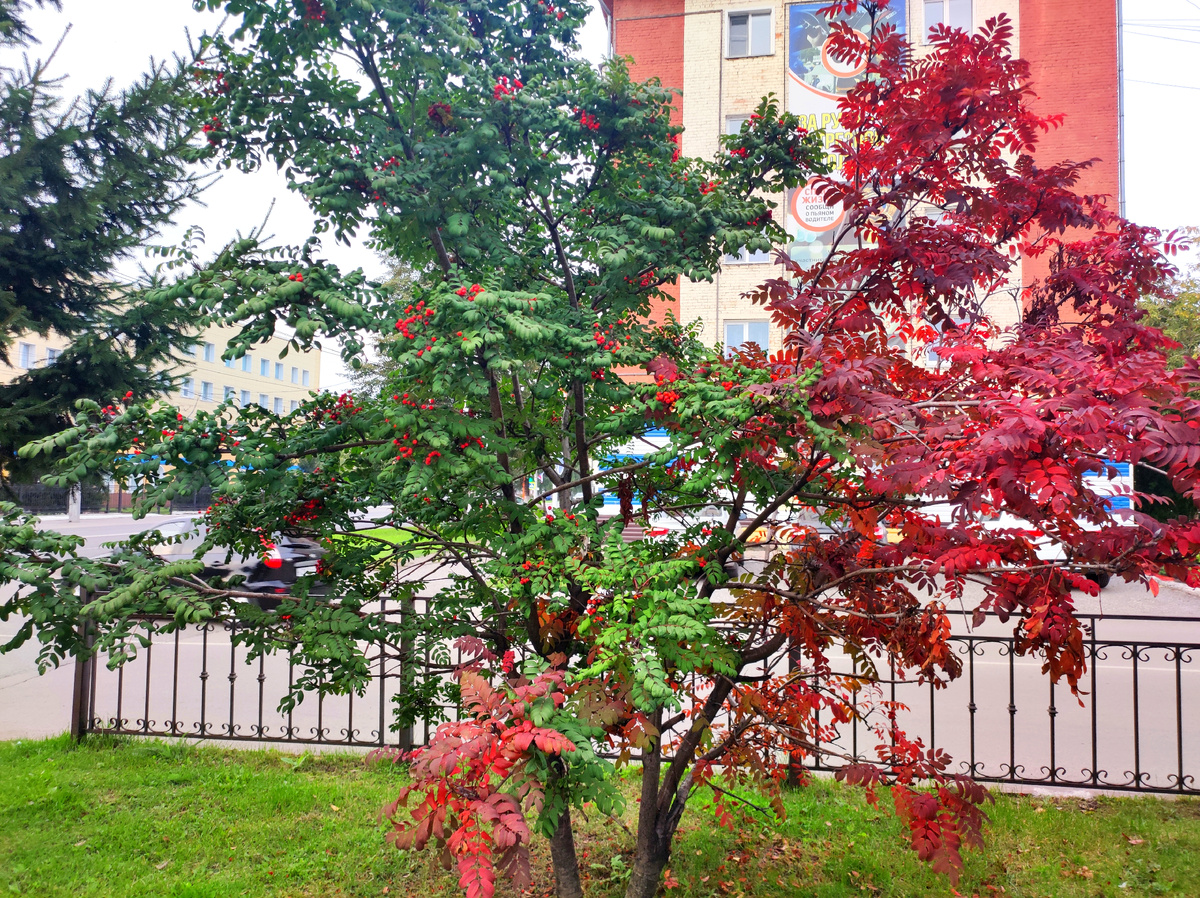 Фото автора 