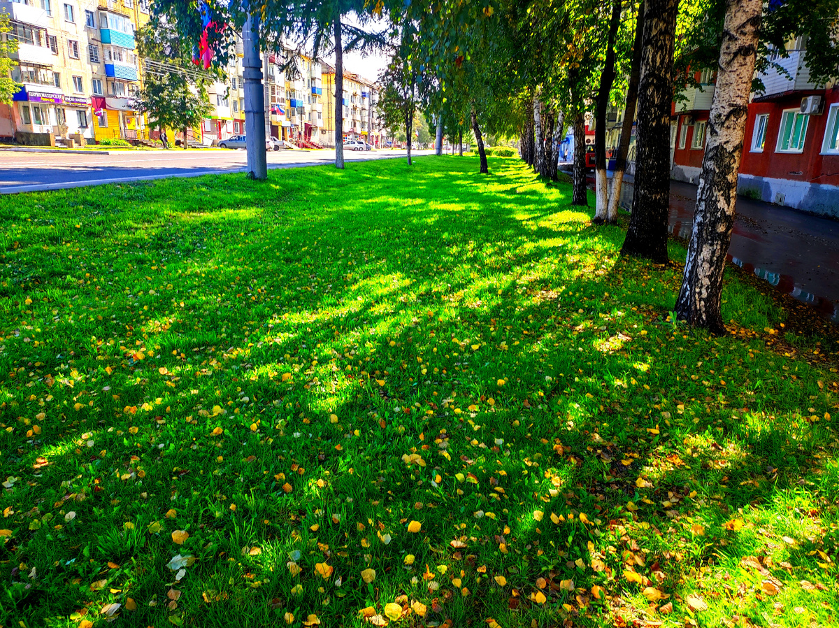 Фото автора 