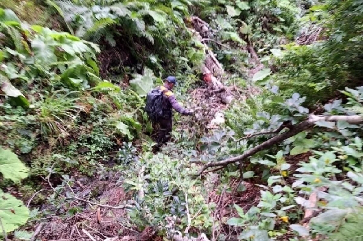    «С жизнью не прощался».