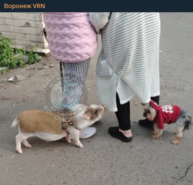    Фото: социальные сети