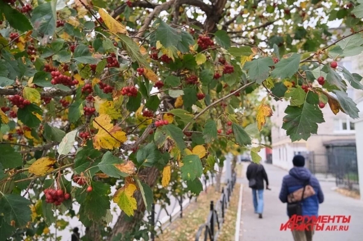    В ближайшие дни в Пермском крае будут идти кратковременные дожди
