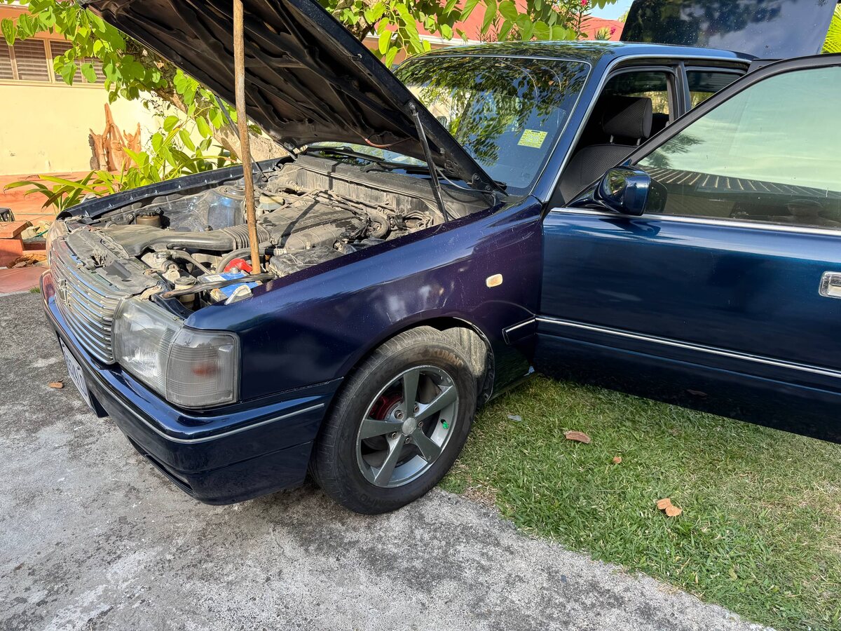 Так выглядит сервис по-ямайски: расхождение в цвете заметно невооружённым глазом, а при ближайшем рассмотрении под слоем краски видны пыль и насекомые, ставшие теперь частью крыла