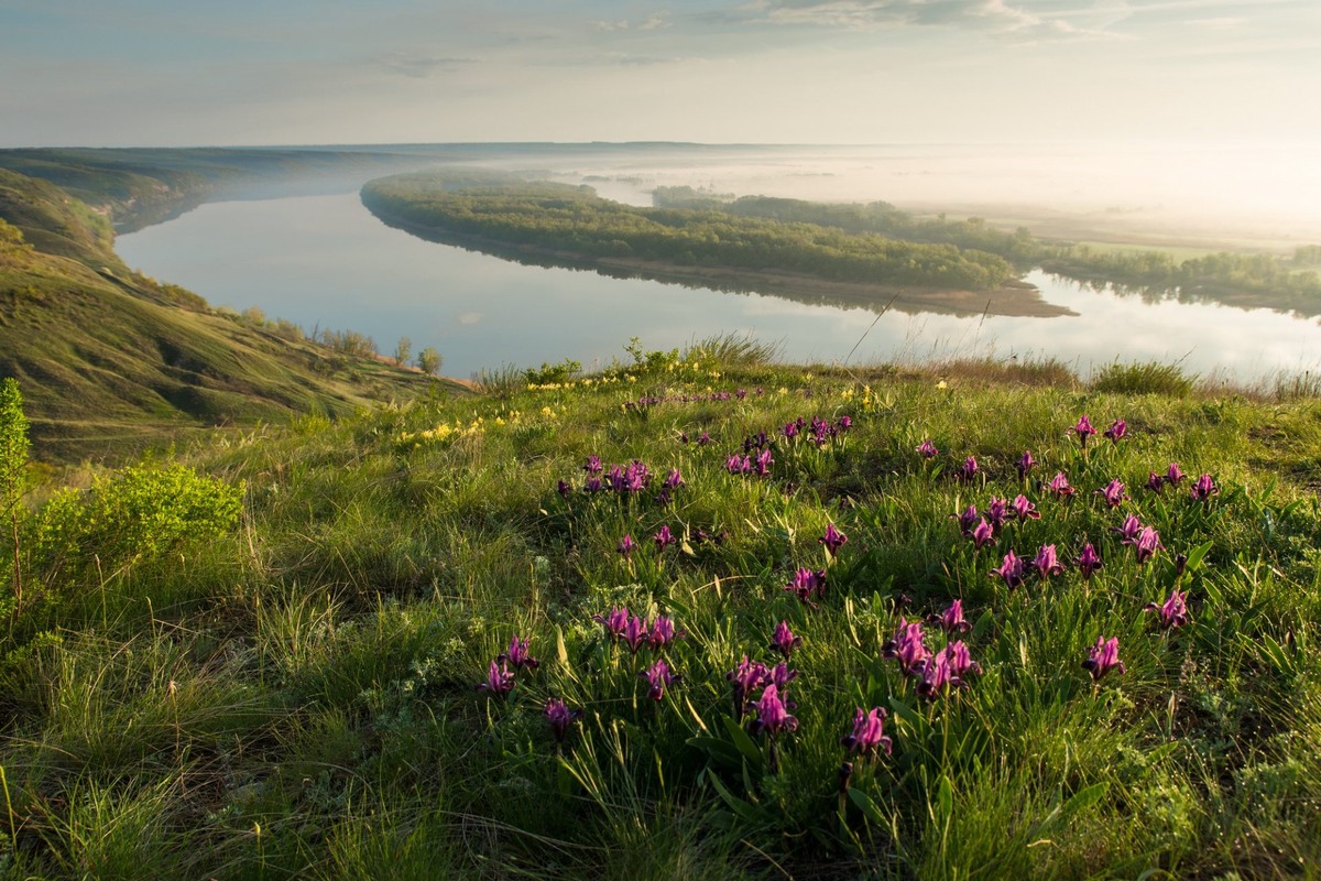 Высокий берег Дона. vlg-media.ru