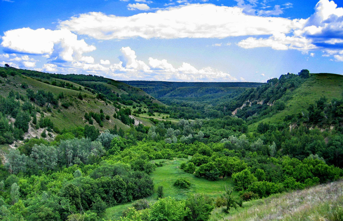 Щербаковская балка. https://www.kp.ru/best/volgograd/otdykh-v-volgograde-i-volgogradskoj-oblasti/prirodnye-parki-volgogradskoj-oblasti/