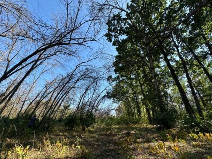 Иллюстрация: rostov-gorod.ru