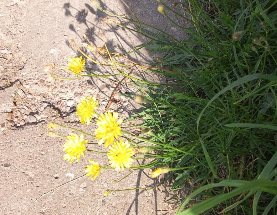 Свет и тень. Фото автора.