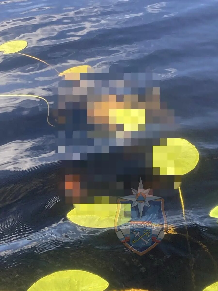    Фото: пресс-служба аварийно спасательной службы Ленобласти.