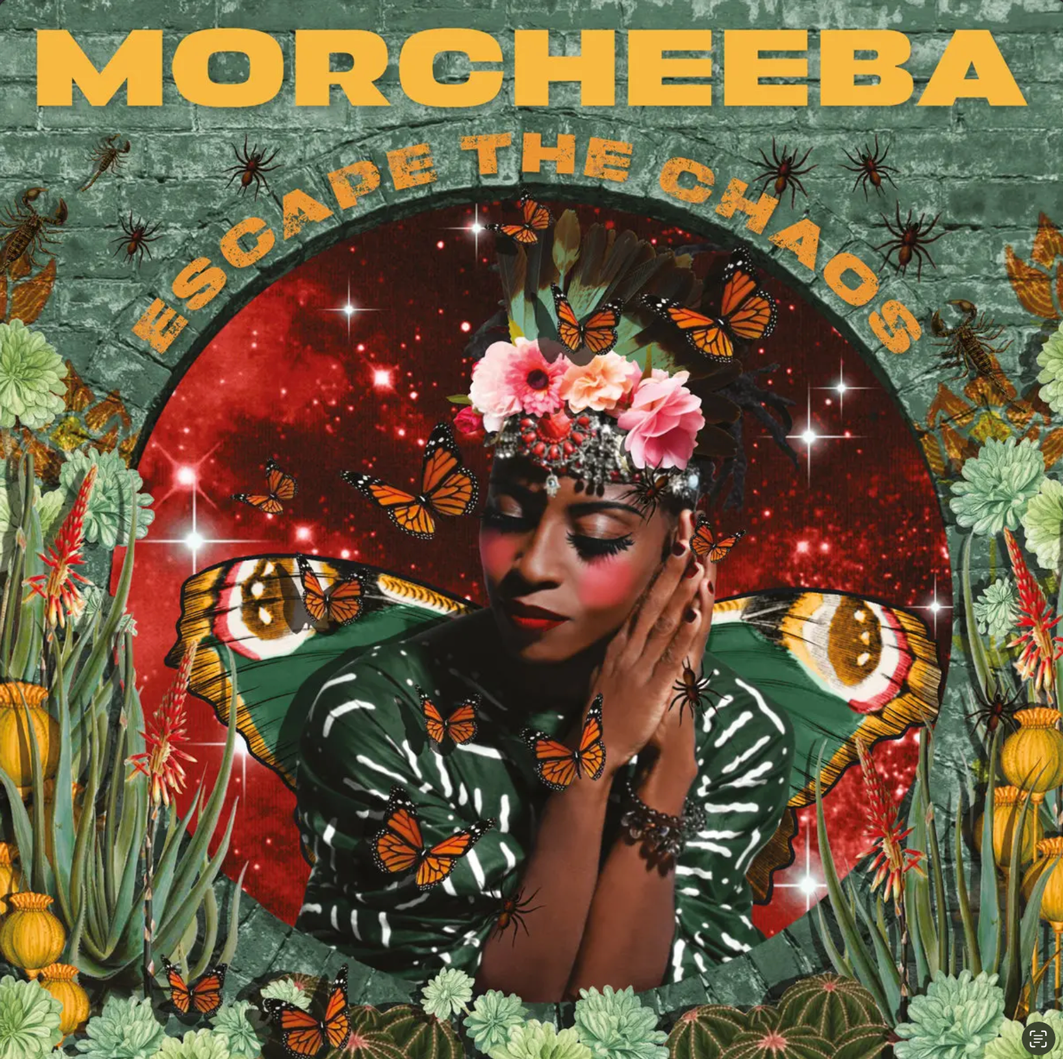 оформление обложки альбома