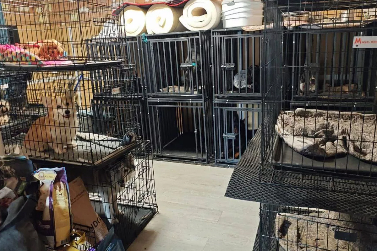    Фото: MONA Источник: Telegram