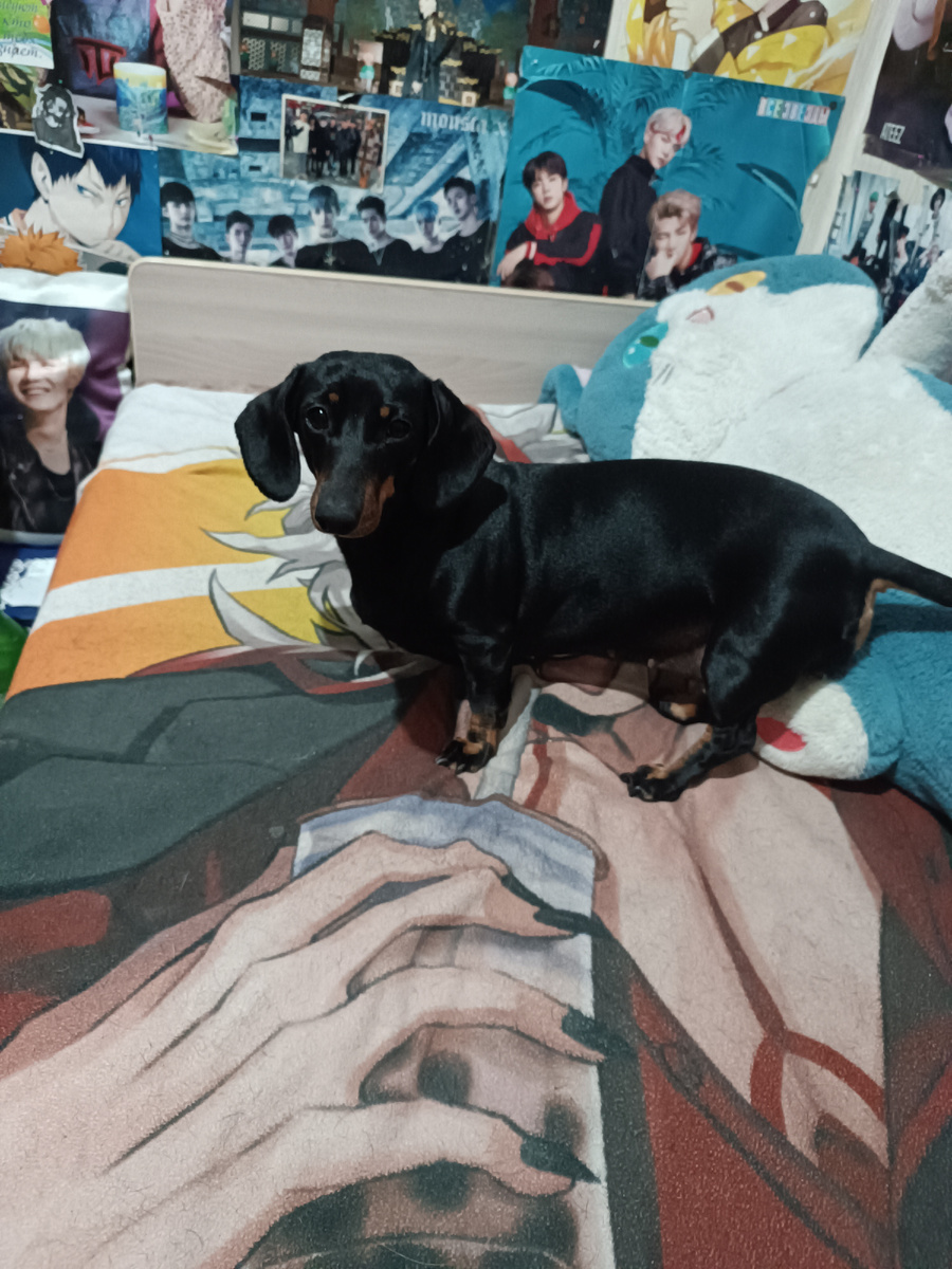 Шурочка кормилица наша🥰