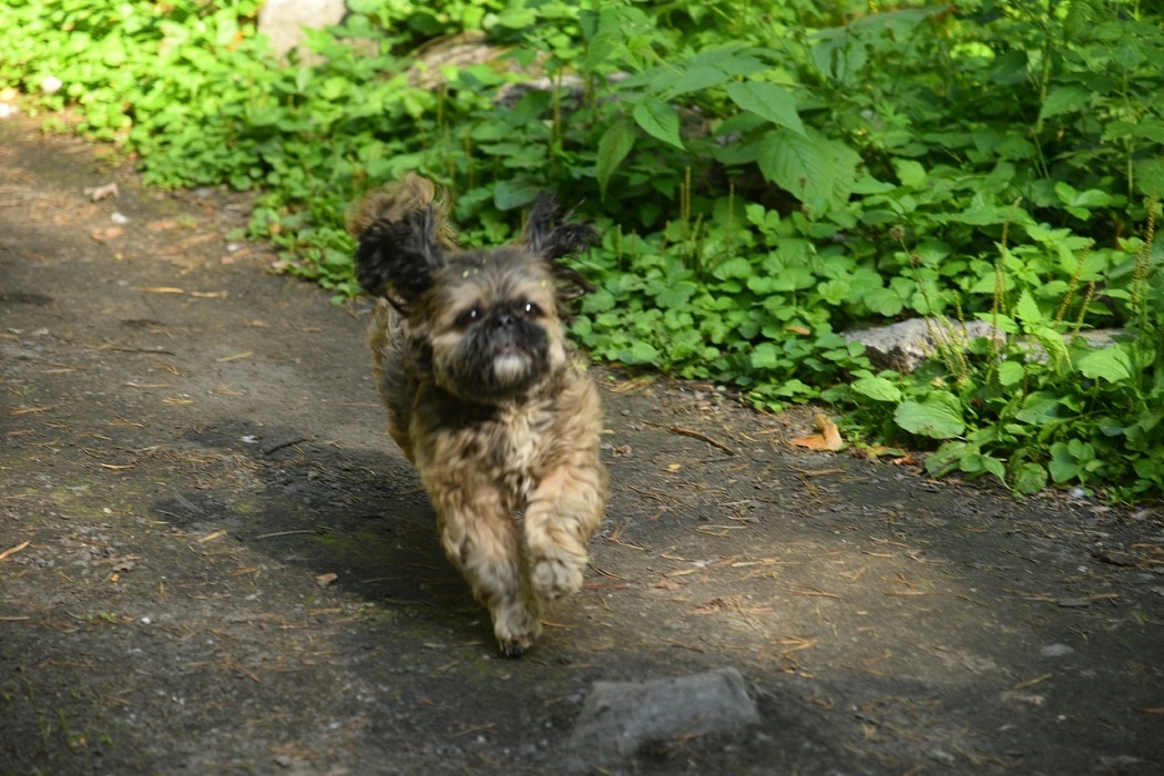    Фото Сергея Суворова предоставлено © ИА «Уральский меридиан» клубом активного отдыха «Душа Урала»