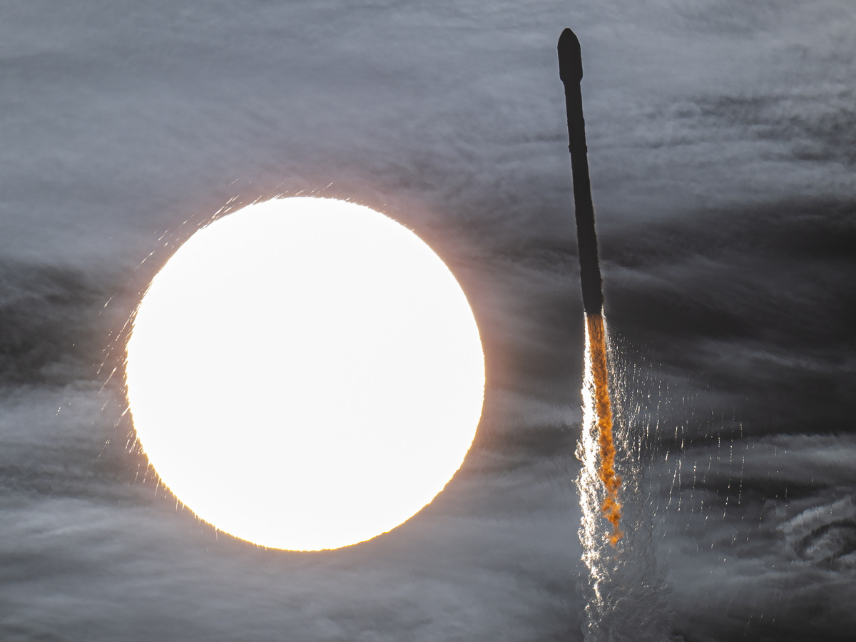 Изображение предоставлено SpaceX