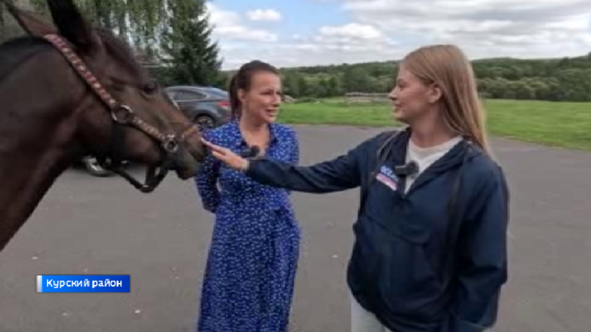    Куряне ухаживают за лошадями с тяжелыми судьбами