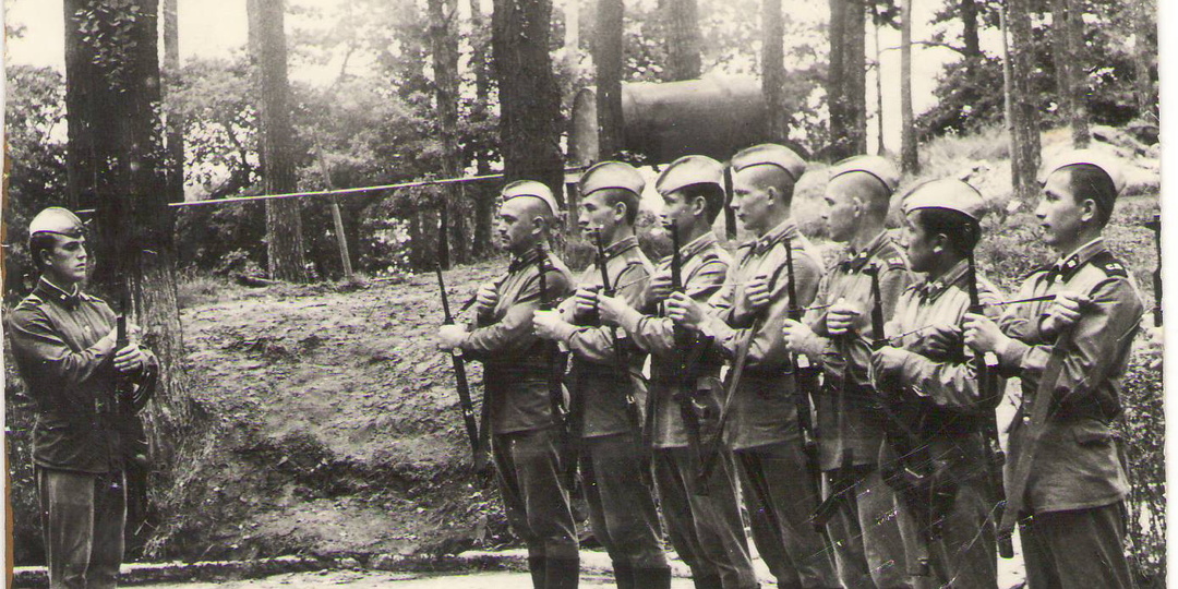 Поздние призывники...