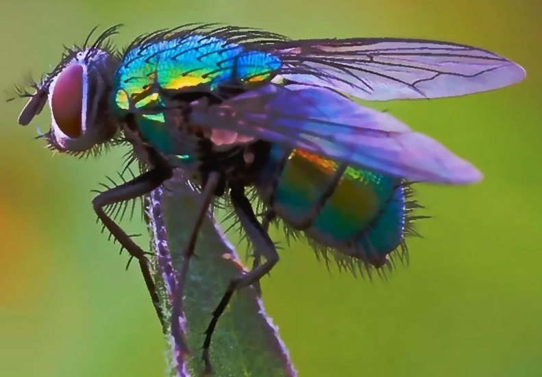 Поставь лайк!