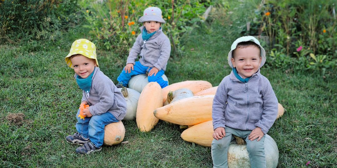 Сентябрь в деревне у тройняшек