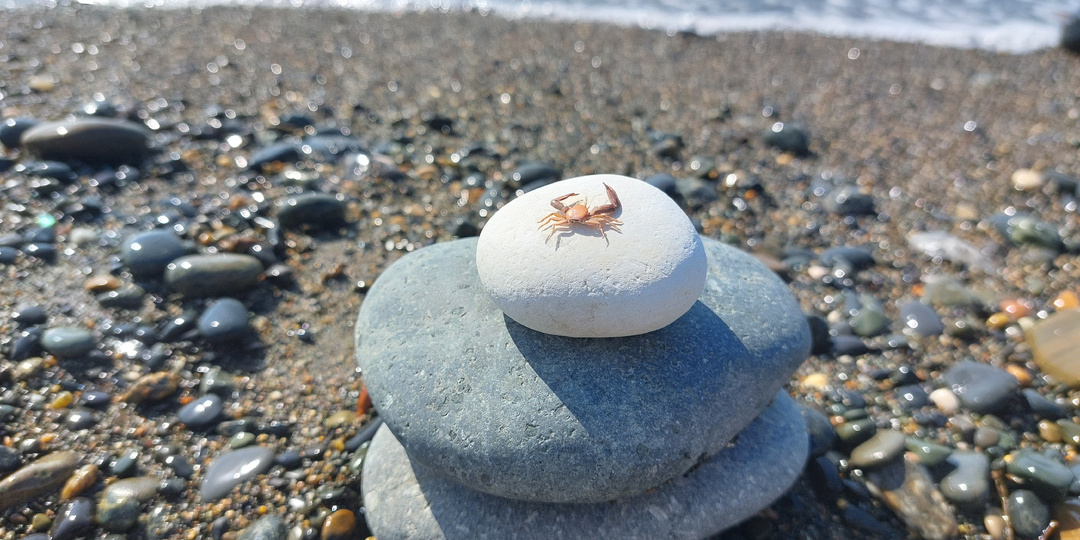 Эта поездка в Абхазию была последней. Из "страны души" в "страну несбывшихся желаний"