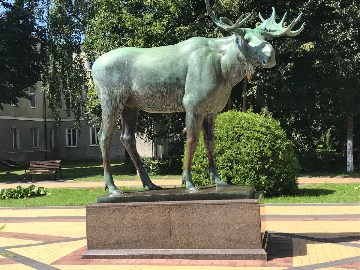 Лось – символ города Гусева. Фото автора 