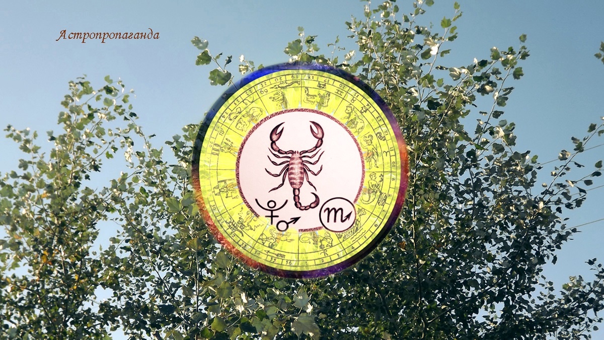 Гороскоп для Скорпиона с 1 по 28 сентября 2025.