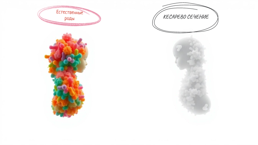 Кожа ребенка получает первых микробов проходя через родовые пути матери. Ребенок, родившийся путем кесарева сечения, при появлении на свет стерилен. Фото by supa.ru