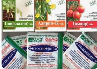 Как Фитоспорин и его команда готовят сад к зиме и экономят ваши силы