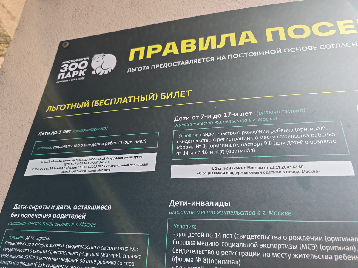 Такая же ситуация для детей-инвалидов и детей-сирот. Бесплатный билет только для тех, кто с регистрацией в Москве. Мне кажется, это неправильно делить детей таким образом.