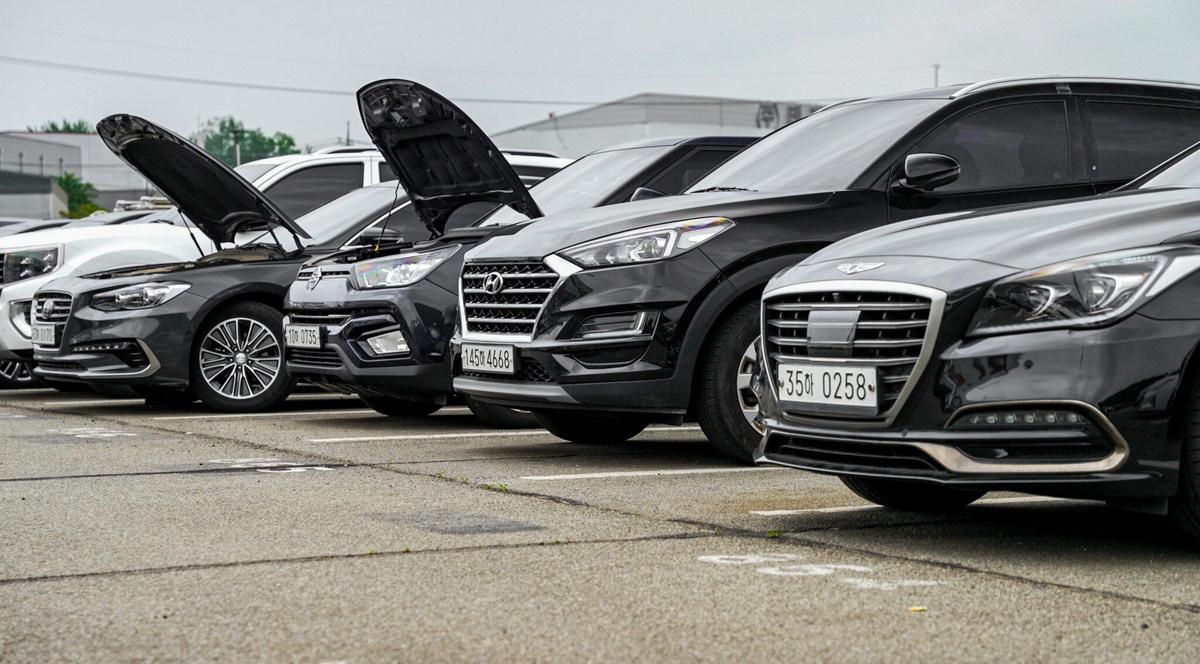 Фото заимствовано - https://dzen.ru/a/ZvtoAcTLRxRgWeMT