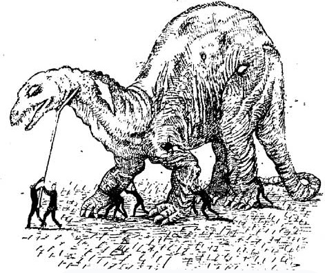 Разные варианты курдля и как в нем живут. Полистайте галерею