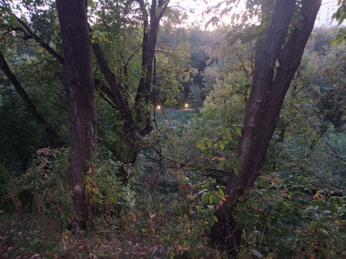 Вид со спортивной площадки на парк внизу. Видны фонарики на прогулочной дорожке.