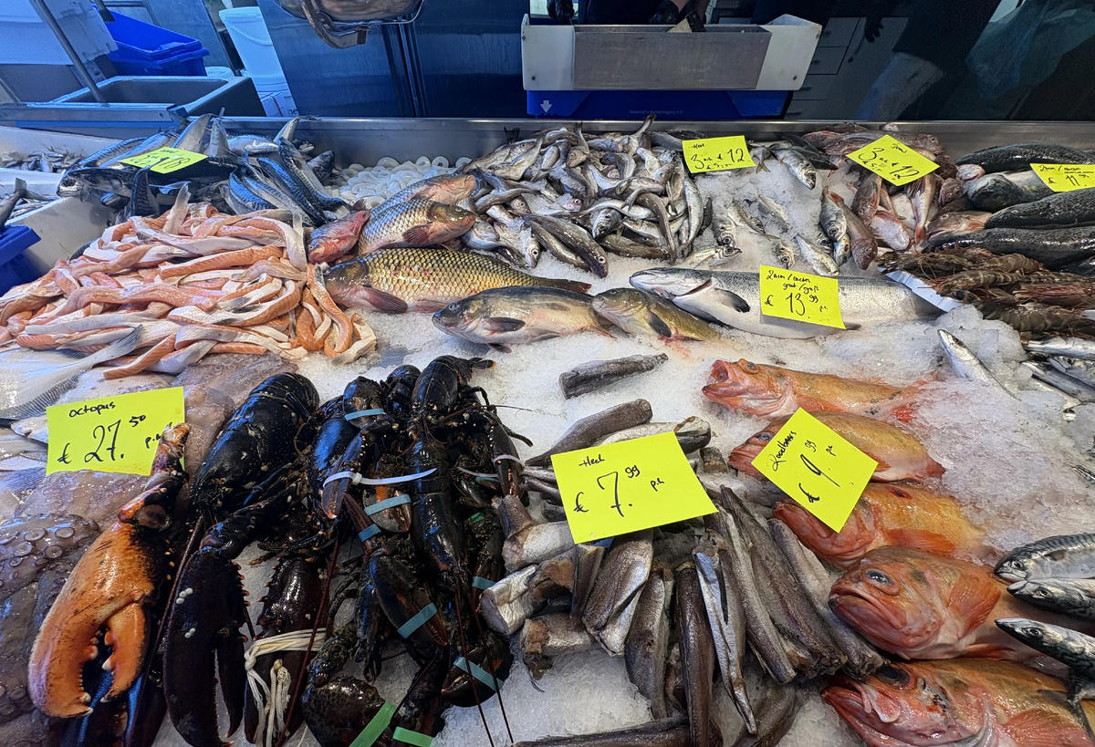 У раков клешни хомутиками перевязаны... Жалко их... Фото автора.