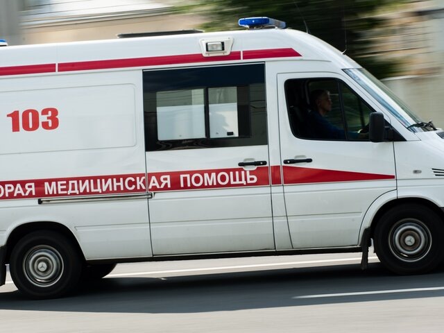    Фото: Москва 24/Игорь Иванко