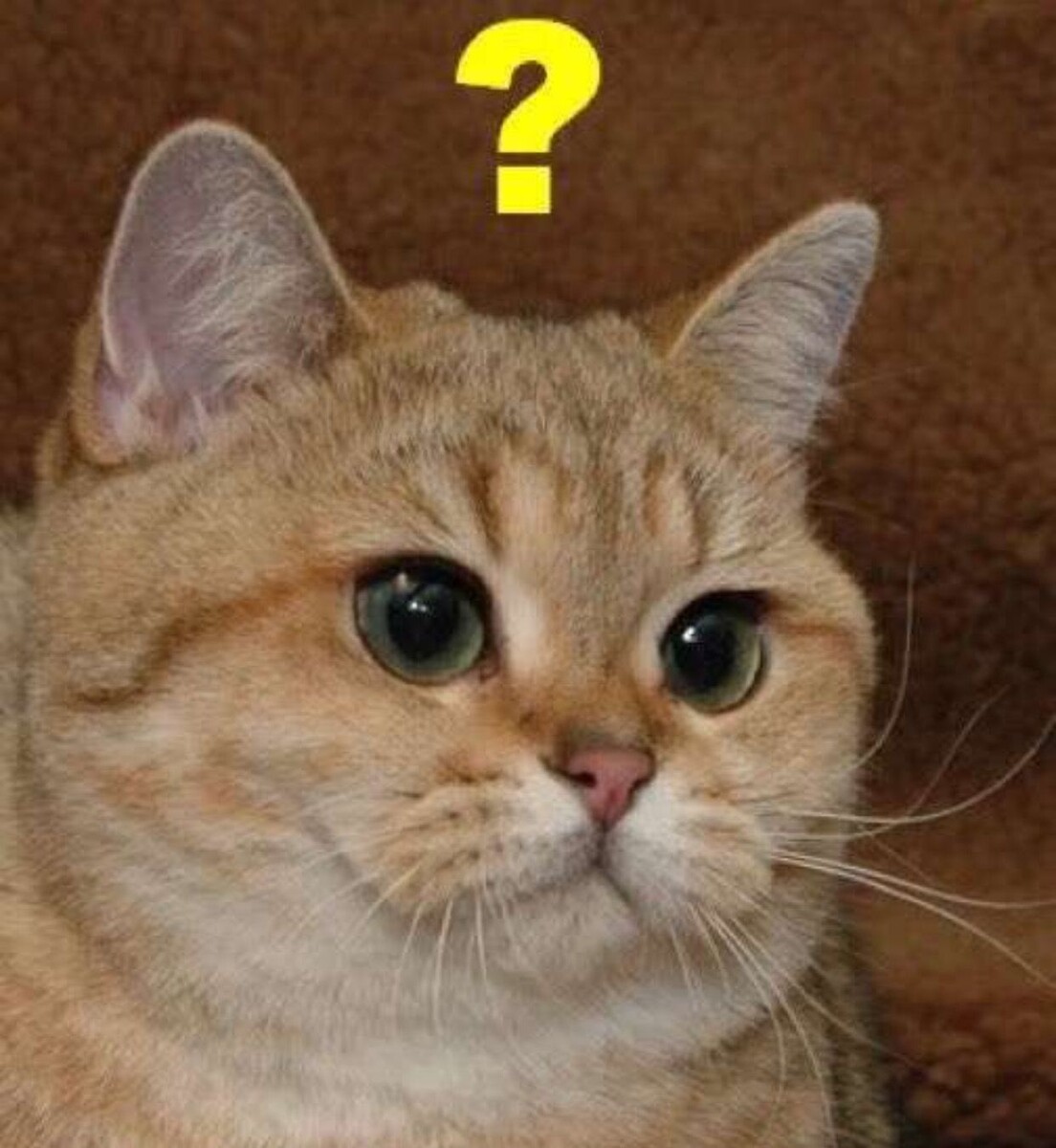 источник Яндекс-картинки