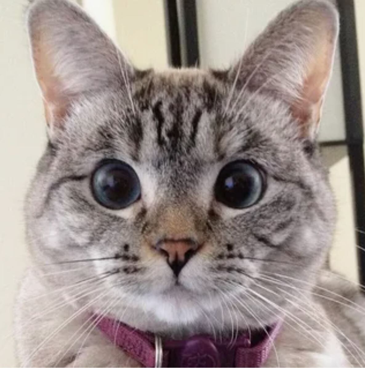 источник Яндекс-картинки