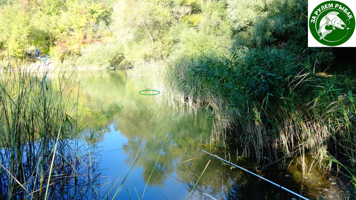 Фото автора.