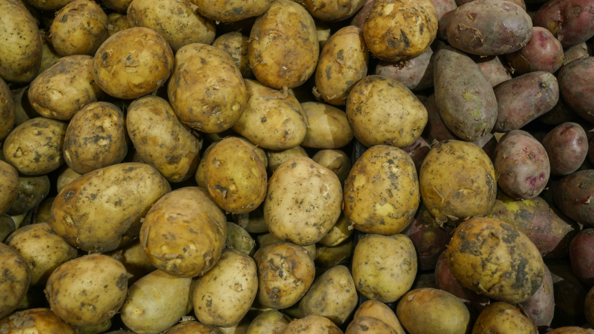    Фото: ИЗВЕСТИЯ/Анна Селина