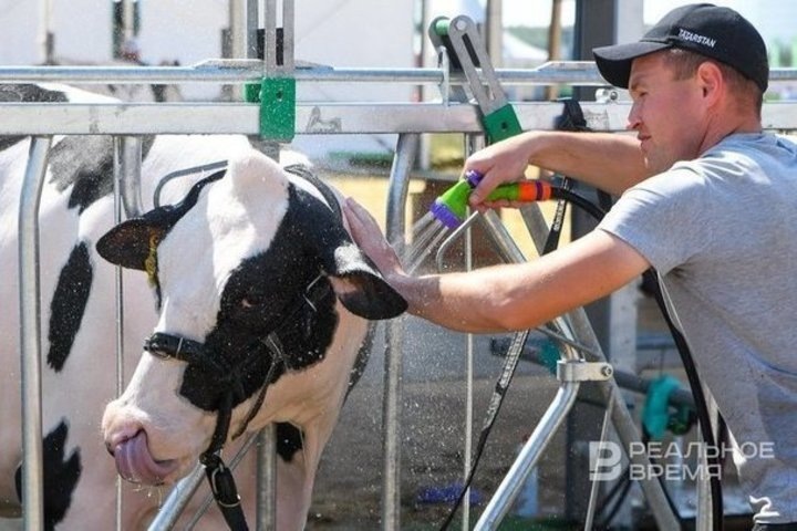   Максим Платонов / realnoevremya.ru