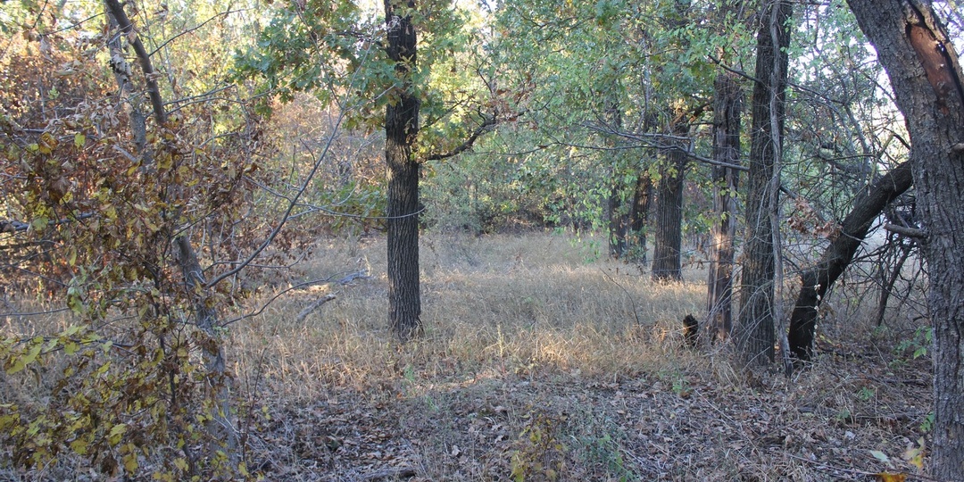 Новый порядок выдачи разрешений на добычу