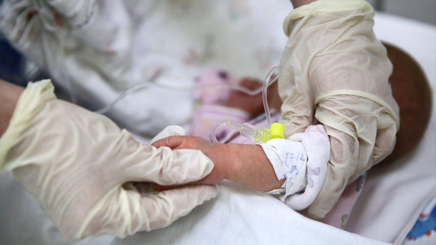    Фото: © РИА Новости/Виталий Тимкив