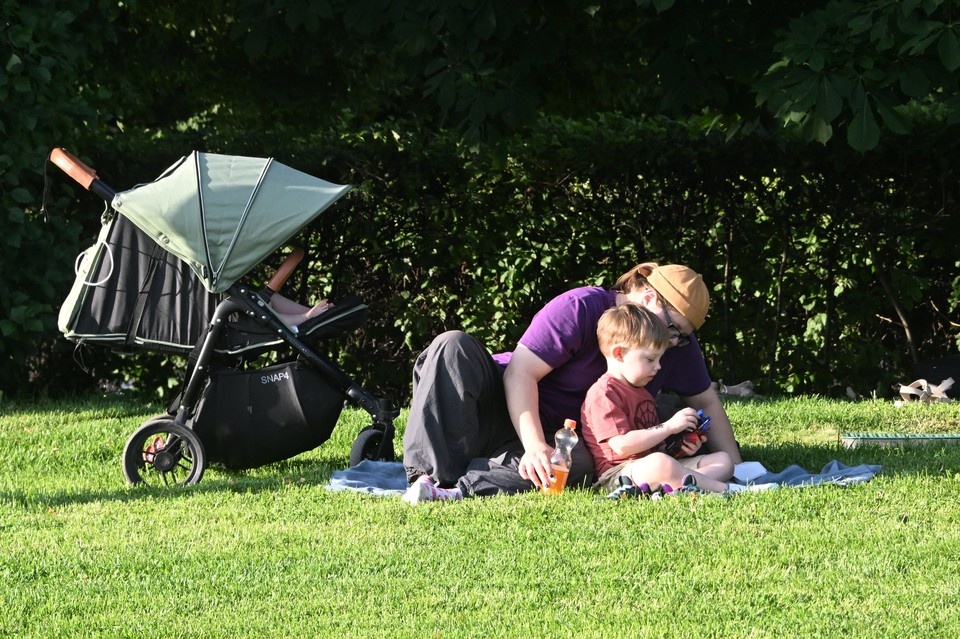    В Госдуме хотят засчитывать уход за ребенком в трудовой стаж в двойном размере Владимир ВЕЛЕНГУРИН