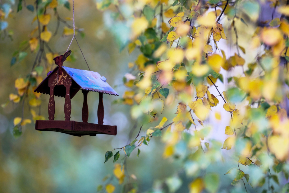    Сергей Булкин/NEWS.ru