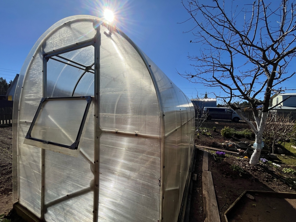    Горькая правда о поликарбонате: почему сегодня делать из него теплицу - плохая идея