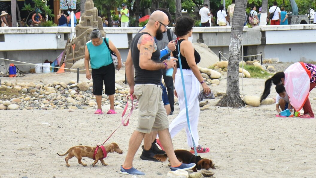    Фото: Carlos Tischler/Globallookpress