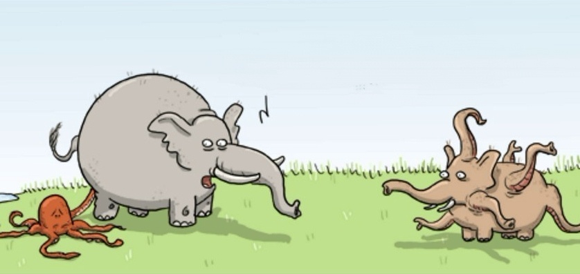 Из открытых источников.