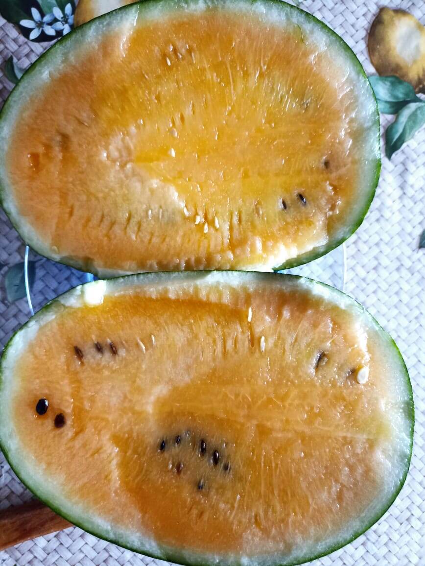 Фото: Розалия Семенова